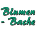 Logo von Blumen Bache