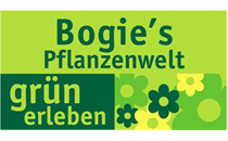 Logo von Bogie's Pflanzenwelt