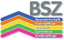 Logo von BSZ Berufliches Schulzentrum Regensburger Land